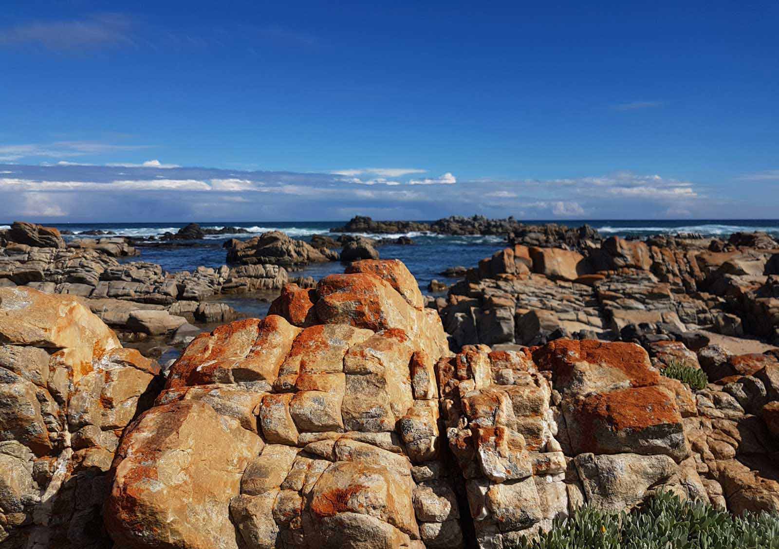 Picture of thyspunt oysterbay south africa